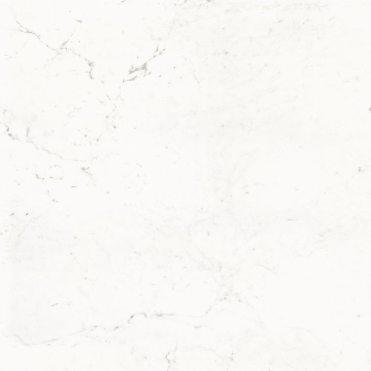 Pure Carrara Lux 48 x 48